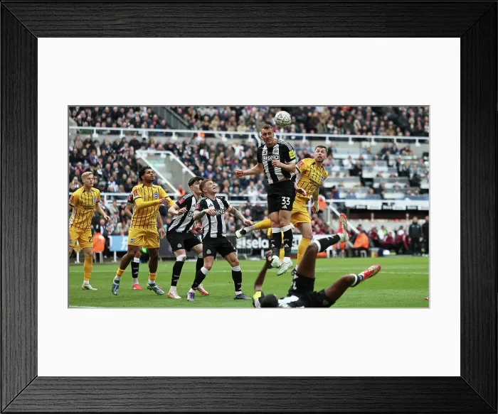 Framed Print : Newcastle United v Brighton and Hove Albion FA Cup 5th Round 02MAR25 Framed Print : Newcastle United v Brighton and Hove Albion FA Cup 5th Round 02MAR25