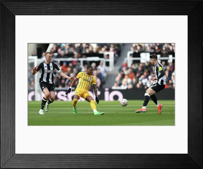 Framed Print : Newcastle United v Brighton and Hove Albion FA Cup 5th Round 02MAR25 Framed Print : Newcastle United v Brighton and Hove Albion FA Cup 5th Round 02MAR25