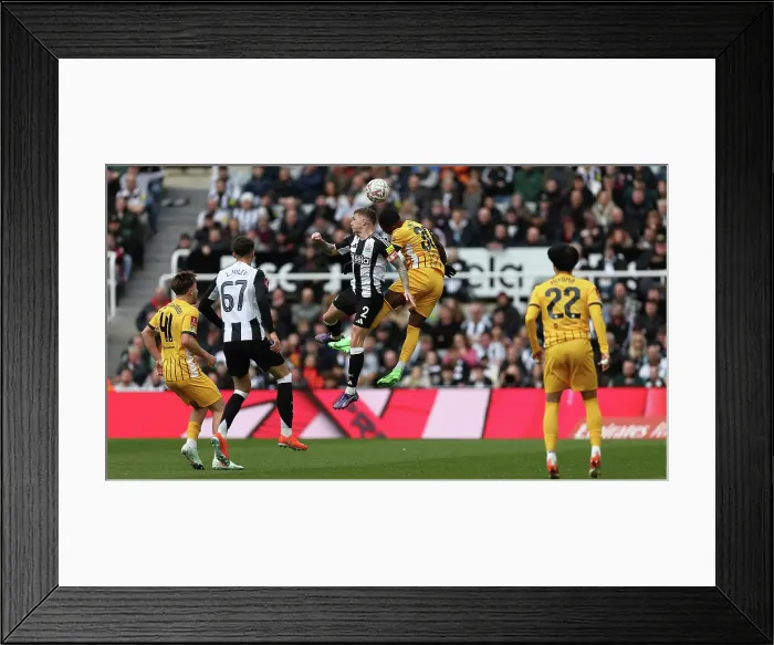 Framed Print : Newcastle United v Brighton and Hove Albion FA Cup 5th Round 02MAR25 Framed Print : Newcastle United v Brighton and Hove Albion FA Cup 5th Round 02MAR25