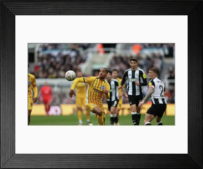 Framed Print : Newcastle United v Brighton and Hove Albion FA Cup 5th Round 02MAR25 Framed Print : Newcastle United v Brighton and Hove Albion FA Cup 5th Round 02MAR25