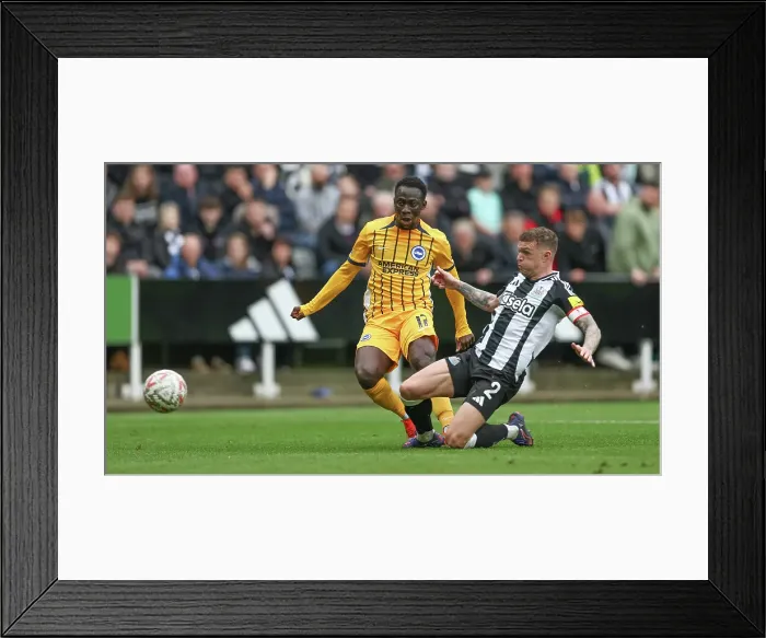 Framed Print : Newcastle United v Brighton and Hove Albion FA Cup 5th Round 02MAR25 Framed Print : Newcastle United v Brighton and Hove Albion FA Cup 5th Round 02MAR25