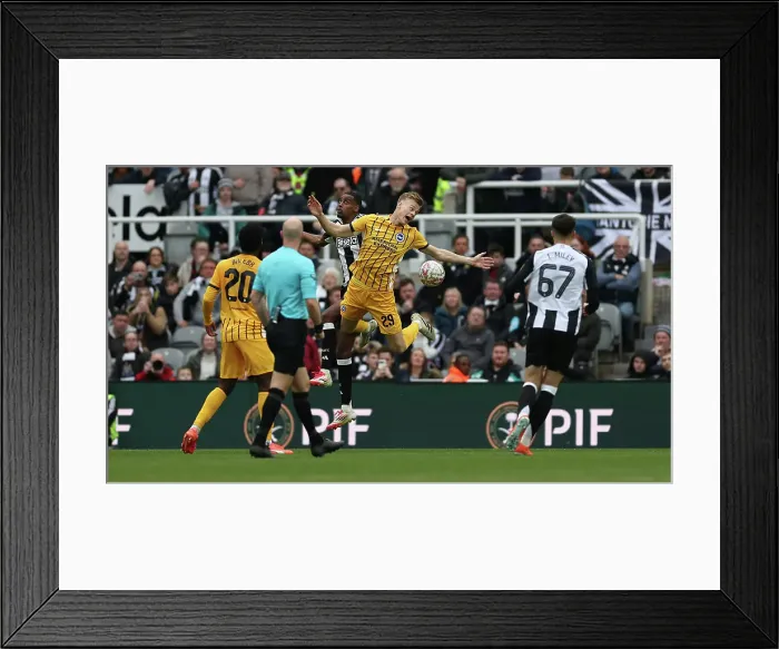 Framed Print : Newcastle United v Brighton and Hove Albion FA Cup 5th Round 02MAR25 Framed Print : Newcastle United v Brighton and Hove Albion FA Cup 5th Round 02MAR25