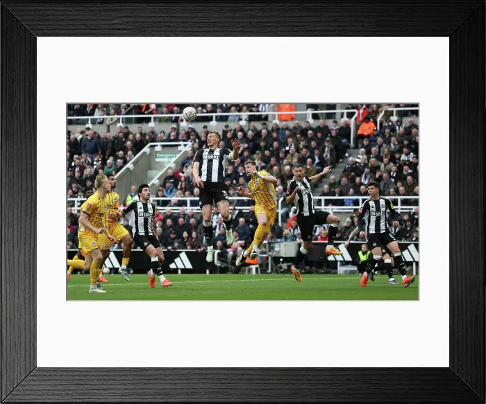 Framed Print : Newcastle United v Brighton and Hove Albion FA Cup 5th Round 02MAR25 Framed Print : Newcastle United v Brighton and Hove Albion FA Cup 5th Round 02MAR25