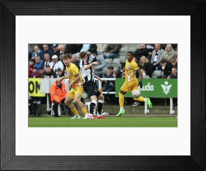 Framed Print : Newcastle United v Brighton and Hove Albion FA Cup 5th Round 02MAR25 Framed Print : Newcastle United v Brighton and Hove Albion FA Cup 5th Round 02MAR25