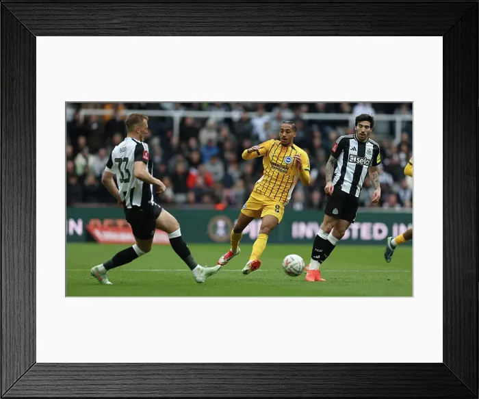 Framed Print : Newcastle United v Brighton and Hove Albion FA Cup 5th Round 02MAR25 Framed Print : Newcastle United v Brighton and Hove Albion FA Cup 5th Round 02MAR25