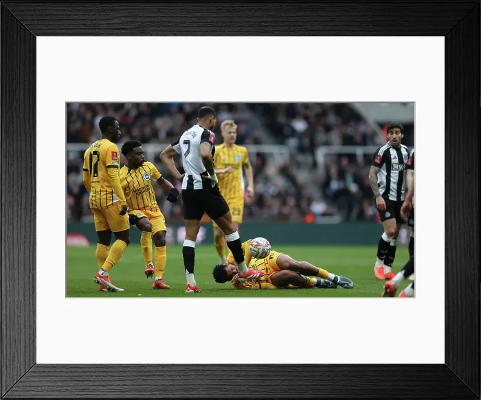 Framed Print : Newcastle United v Brighton and Hove Albion FA Cup 5th Round 02MAR25 Framed Print : Newcastle United v Brighton and Hove Albion FA Cup 5th Round 02MAR25