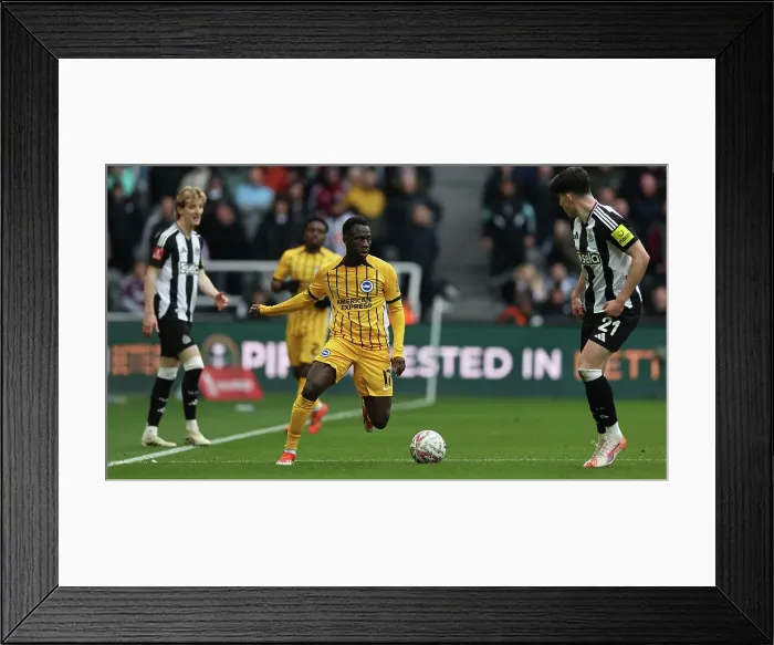 Framed Print : Newcastle United v Brighton and Hove Albion FA Cup 5th Round 02MAR25
