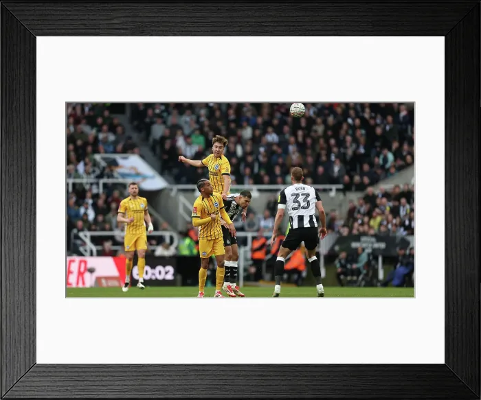 Framed Print : Newcastle United v Brighton and Hove Albion FA Cup 5th Round 02MAR25