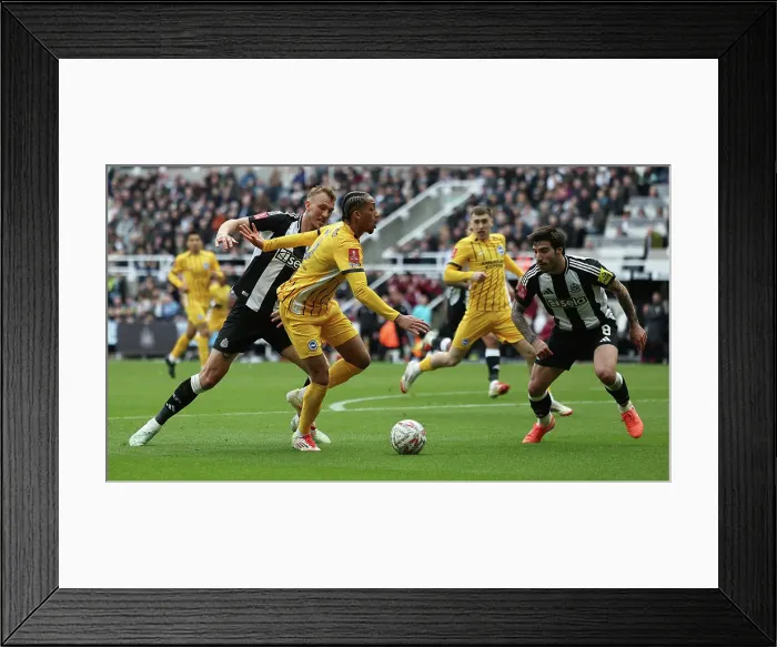 Framed Print : Newcastle United v Brighton and Hove Albion FA Cup 5th Round 02MAR25 Framed Print : Newcastle United v Brighton and Hove Albion FA Cup 5th Round 02MAR25