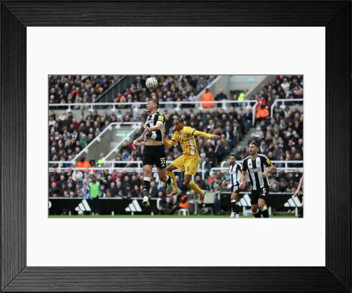 Framed Print : Newcastle United v Brighton and Hove Albion FA Cup 5th Round 02MAR25 Framed Print : Newcastle United v Brighton and Hove Albion FA Cup 5th Round 02MAR25