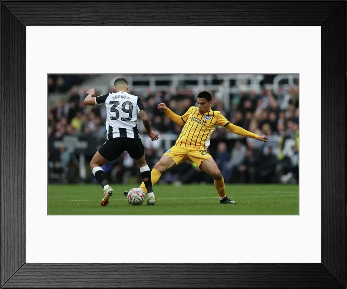 Framed Print : Newcastle United v Brighton and Hove Albion FA Cup 5th Round 02MAR25 Framed Print : Newcastle United v Brighton and Hove Albion FA Cup 5th Round 02MAR25