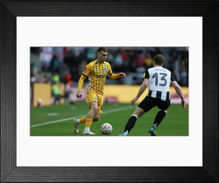 Framed Print : Newcastle United v Brighton and Hove Albion FA Cup 5th Round 02MAR25 Framed Print : Newcastle United v Brighton and Hove Albion FA Cup 5th Round 02MAR25