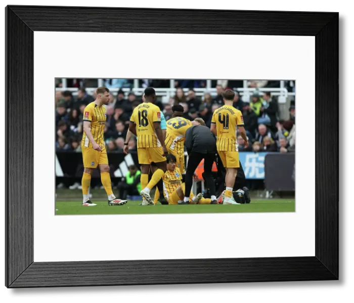 Framed Print : Newcastle United v Brighton and Hove Albion FA Cup 5th Round 02MAR25 Framed Print : Newcastle United v Brighton and Hove Albion FA Cup 5th Round 02MAR25