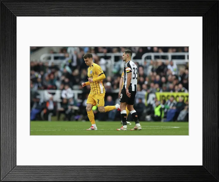 Framed Print : Newcastle United v Brighton and Hove Albion FA Cup 5th Round 02MAR25 Framed Print : Newcastle United v Brighton and Hove Albion FA Cup 5th Round 02MAR25