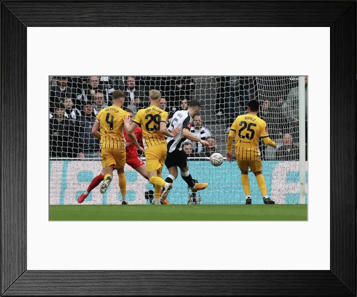 Framed Print : Newcastle United v Brighton and Hove Albion FA Cup 5th Round 02MAR25 Framed Print : Newcastle United v Brighton and Hove Albion FA Cup 5th Round 02MAR25