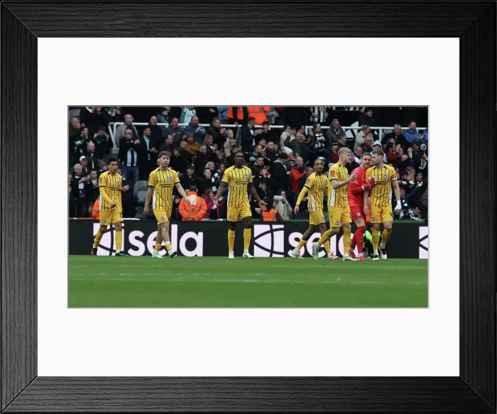 Framed Print : Newcastle United v Brighton and Hove Albion FA Cup 5th Round 02MAR25