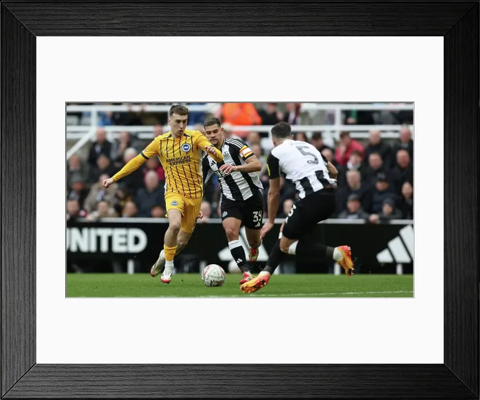 Framed Print : Newcastle United v Brighton and Hove Albion FA Cup 5th Round 02MAR25
