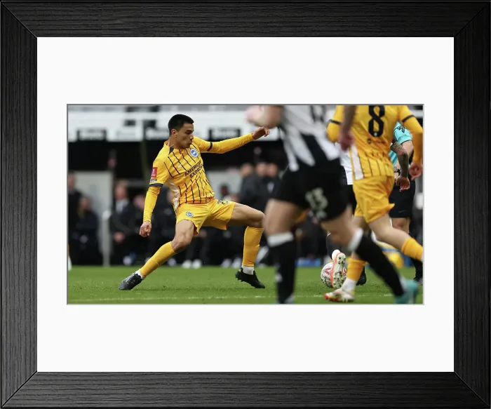 Framed Print : Newcastle United v Brighton and Hove Albion FA Cup 5th Round 02MAR25 Framed Print : Newcastle United v Brighton and Hove Albion FA Cup 5th Round 02MAR25
