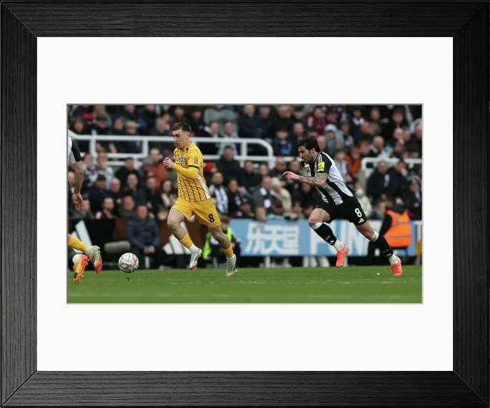 Framed Print : Newcastle United v Brighton and Hove Albion FA Cup 5th Round 02MAR25 Framed Print : Newcastle United v Brighton and Hove Albion FA Cup 5th Round 02MAR25