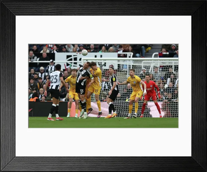 Framed Print : Newcastle United v Brighton and Hove Albion FA Cup 5th Round 02MAR25 Framed Print : Newcastle United v Brighton and Hove Albion FA Cup 5th Round 02MAR25