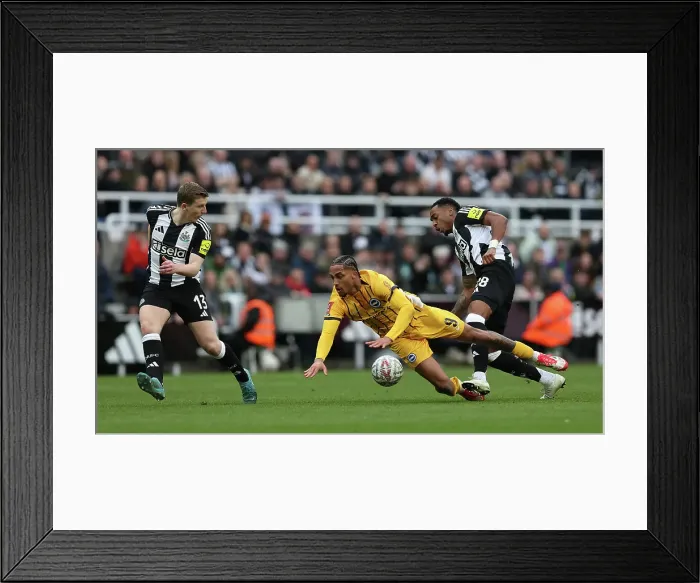 Framed Print : Newcastle United v Brighton and Hove Albion FA Cup 5th Round 02MAR25 Framed Print : Newcastle United v Brighton and Hove Albion FA Cup 5th Round 02MAR25