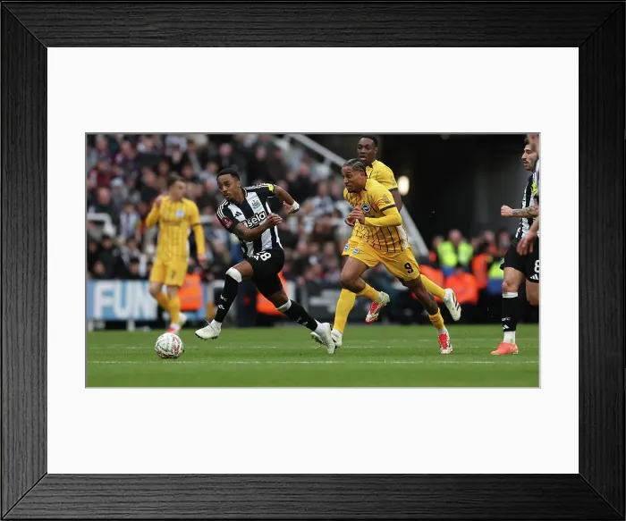 Framed Print : Newcastle United v Brighton and Hove Albion FA Cup 5th Round 02MAR25 Framed Print : Newcastle United v Brighton and Hove Albion FA Cup 5th Round 02MAR25