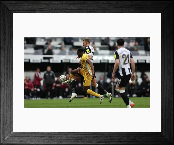Framed Print : Newcastle United v Brighton and Hove AlbionFA Cup 5th Round02MAR25 Framed Print : Newcastle United v Brighton and Hove AlbionFA Cup 5th Round02MAR25