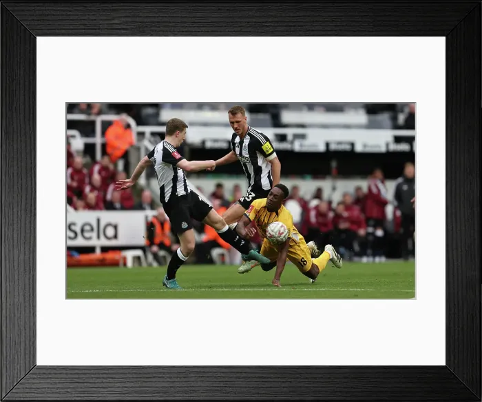 Framed Print : Newcastle United v Brighton and Hove AlbionFA Cup 5th Round02MAR25 Framed Print : Newcastle United v Brighton and Hove AlbionFA Cup 5th Round02MAR25