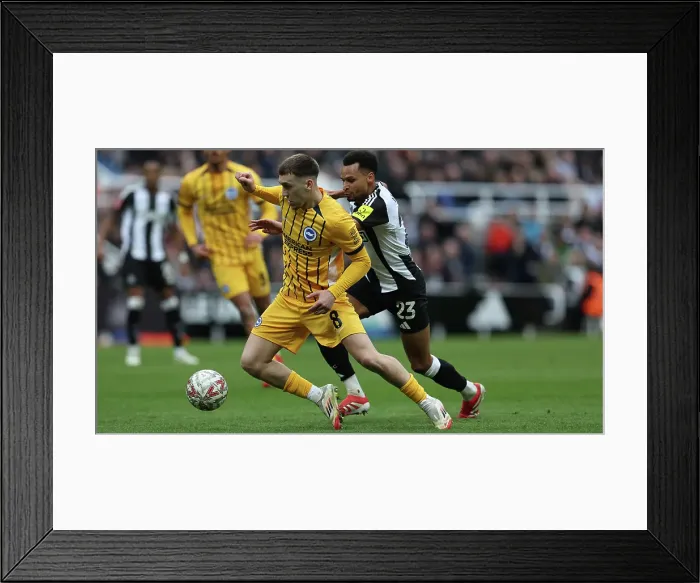 Framed Print : Newcastle United v Brighton and Hove Albion FA Cup 5th Round 02MAR25 Framed Print : Newcastle United v Brighton and Hove Albion FA Cup 5th Round 02MAR25