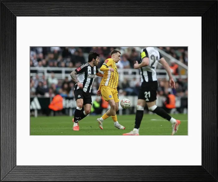 Framed Print : Newcastle United v Brighton and Hove Albion FA Cup 5th Round 02MAR25 Framed Print : Newcastle United v Brighton and Hove Albion FA Cup 5th Round 02MAR25