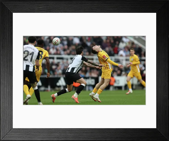 Framed Print : Newcastle United v Brighton and Hove Albion FA Cup 5th Round 02MAR25 Framed Print : Newcastle United v Brighton and Hove Albion FA Cup 5th Round 02MAR25