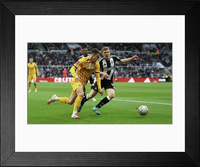 Framed Print : Newcastle United v Brighton and Hove Albion FA Cup 5th Round 02MAR25 Framed Print : Newcastle United v Brighton and Hove Albion FA Cup 5th Round 02MAR25