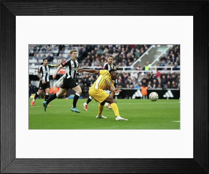 Framed Print : Newcastle United v Brighton and Hove Albion FA Cup 5th Round 02MAR25 Framed Print : Newcastle United v Brighton and Hove Albion FA Cup 5th Round 02MAR25