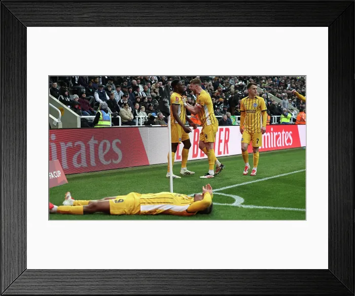 Framed Print : Newcastle United v Brighton and Hove Albion FA Cup 5th Round 02MAR25 Framed Print : Newcastle United v Brighton and Hove Albion FA Cup 5th Round 02MAR25