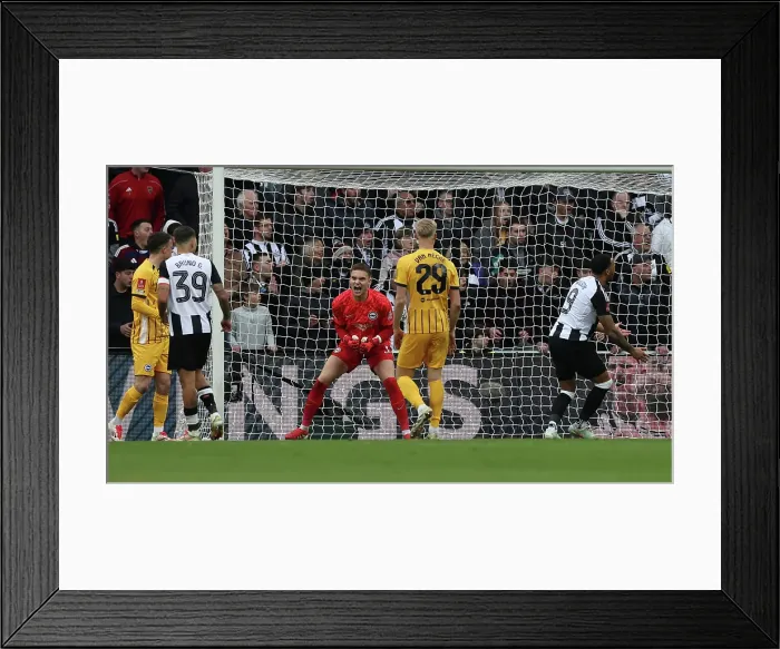 Framed Print : Newcastle United v Brighton and Hove Albion FA Cup 5th Round 02MAR25 Framed Print : Newcastle United v Brighton and Hove Albion FA Cup 5th Round 02MAR25