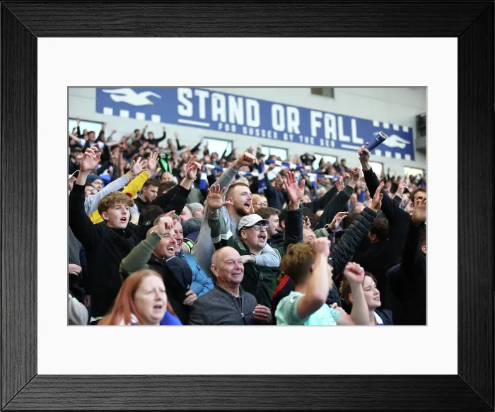 Framed Print : Brighton and Hove Albion v Fulham Premier League 08MAR25 Framed Print : Brighton and Hove Albion v Fulham Premier League 08MAR25
