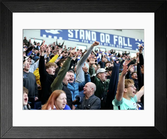 Framed Print : Brighton and Hove Albion v Fulham Premier League 08MAR25 Framed Print : Brighton and Hove Albion v Fulham Premier League 08MAR25