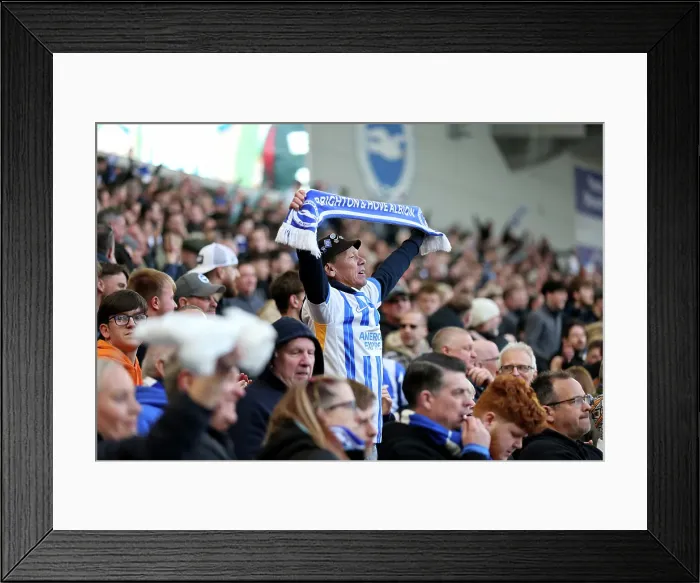 Framed Print : Brighton and Hove Albion v Fulham Premier League 08MAR25