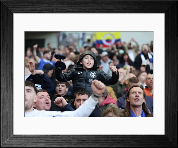 Framed Print : Brighton and Hove Albion v Fulham Premier League 08MAR25