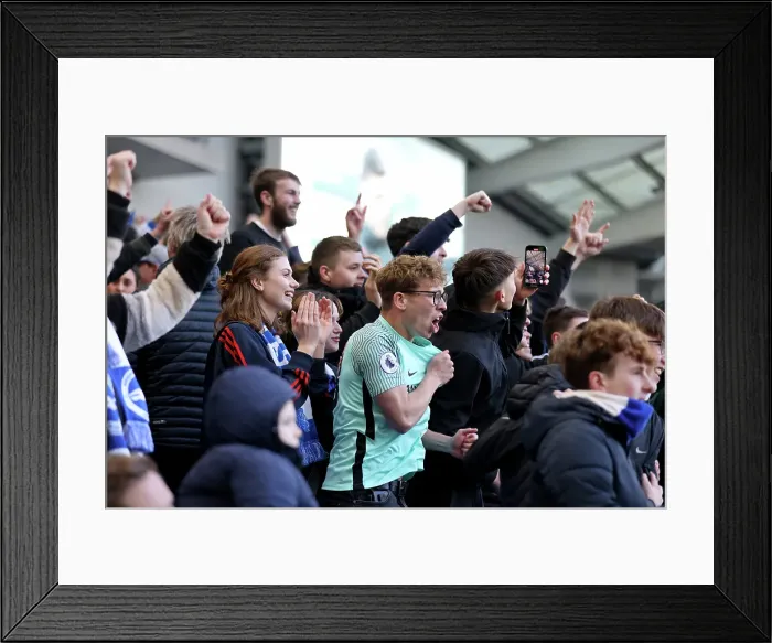 Framed Print : Brighton and Hove Albion v Fulham Premier League 08MAR25