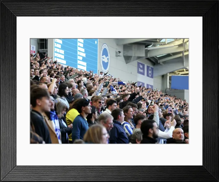 Framed Print : Brighton and Hove Albion v Fulham Premier League 08MAR25 Framed Print : Brighton and Hove Albion v Fulham Premier League 08MAR25