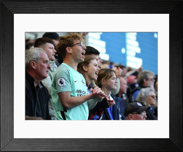 Framed Print : Brighton and Hove Albion v Fulham Premier League 08MAR25