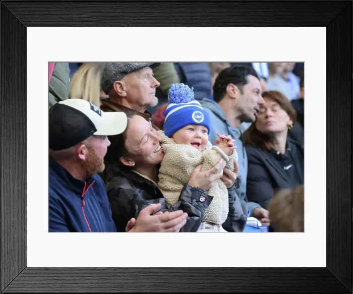 Framed Print : Brighton and Hove Albion v Fulham Premier League 08MAR25