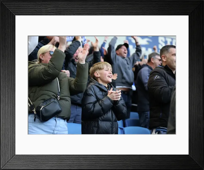 Framed Print : Brighton and Hove Albion v Fulham Premier League 08MAR25
