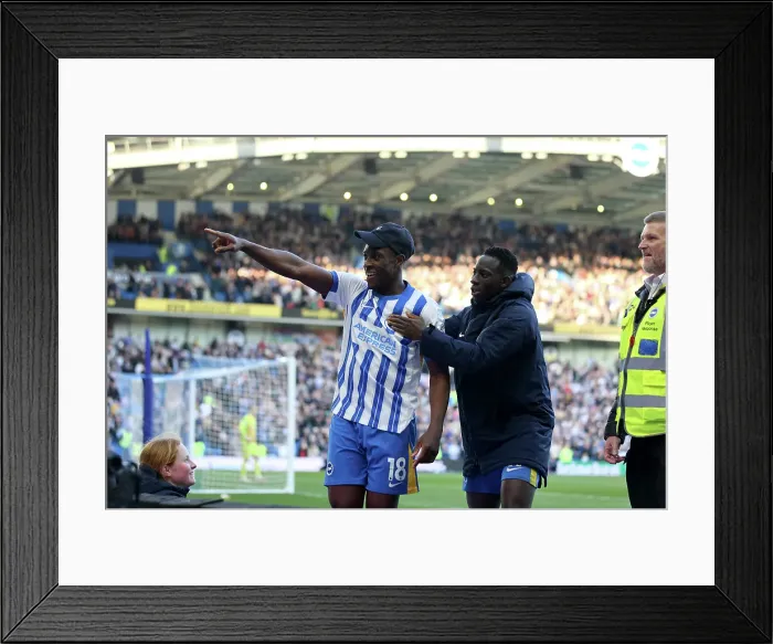Framed Print : Brighton and Hove Albion v Fulham Premier League 08MAR25