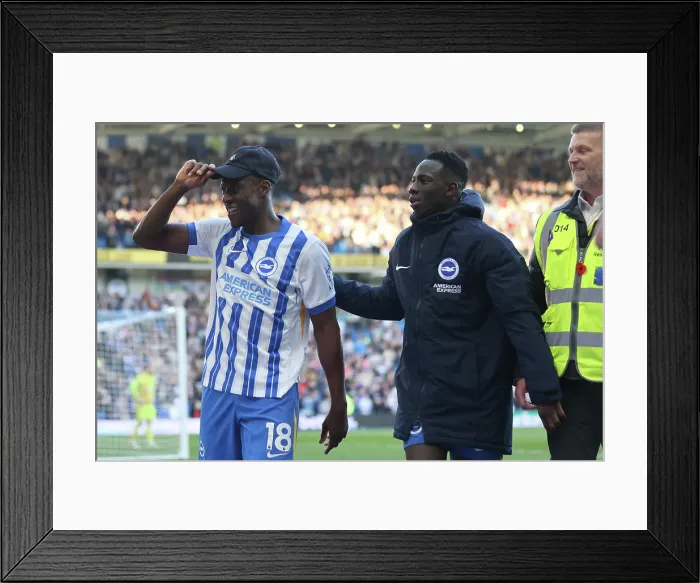 Framed Print : Brighton and Hove Albion v Fulham Premier League 08MAR25