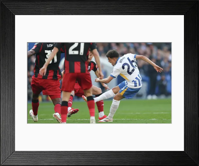 Framed Print : Brighton and Hove Albion v Fulham Premier League 08MAR25
