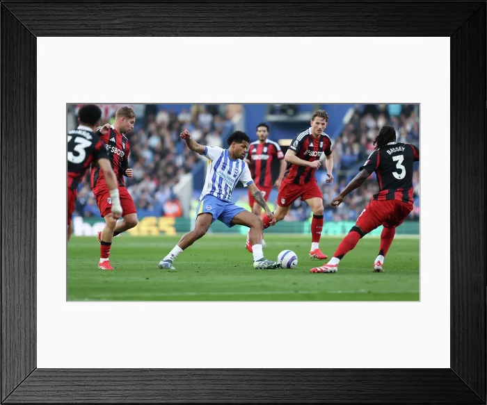 Framed Print : Brighton and Hove Albion v Fulham Premier League 08MAR25