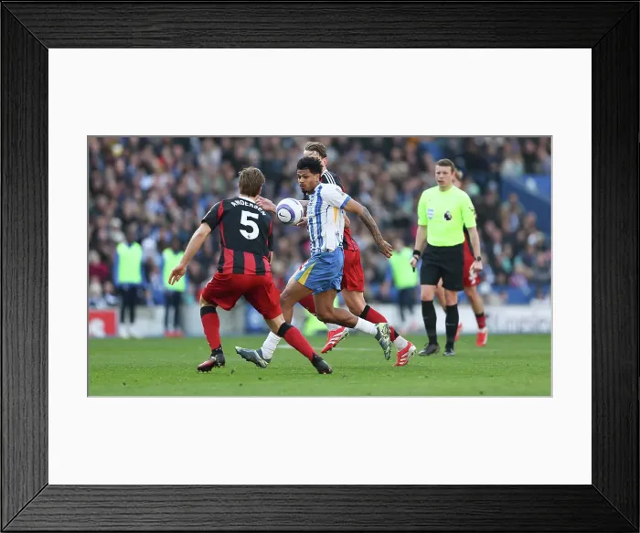 Framed Print : Brighton and Hove Albion v Fulham Premier League 08MAR25 Framed Print : Brighton and Hove Albion v Fulham Premier League 08MAR25