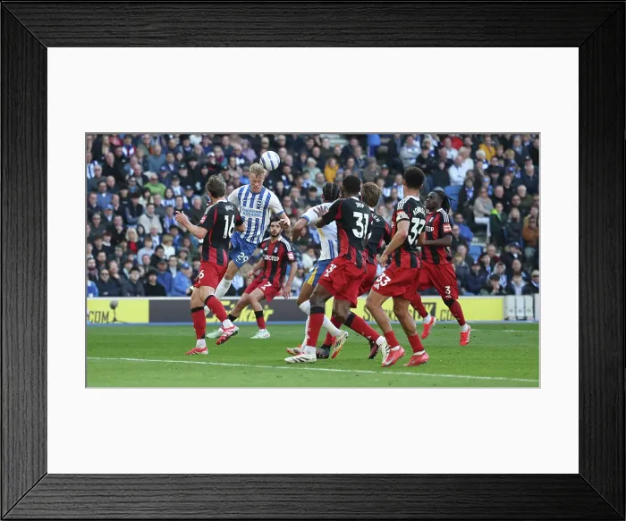 Framed Print : Brighton and Hove Albion v Fulham Premier League 08MAR25 Framed Print : Brighton and Hove Albion v Fulham Premier League 08MAR25